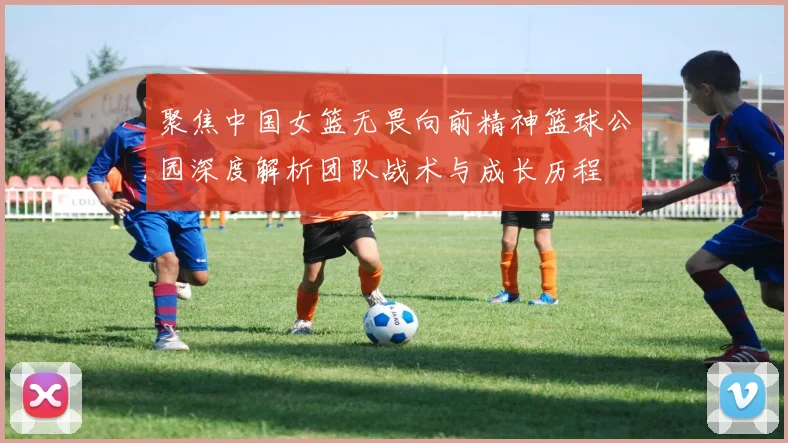 聚焦中国女篮无畏向前精神篮球公园深度解析团队战术与成长历程