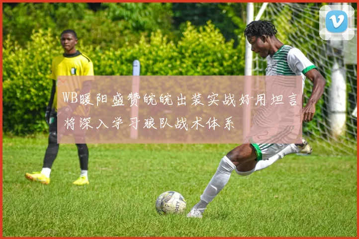 WB暖阳盛赞皖皖出装实战好用坦言将深入学习狼队战术体系