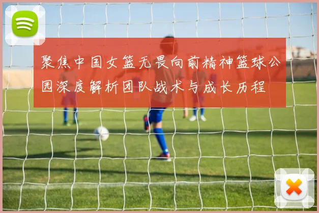聚焦中国女篮无畏向前精神篮球公园深度解析团队战术与成长历程